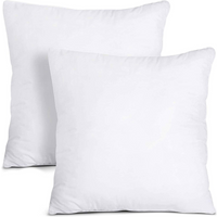 Inner Cushion 60x60 cm 700gm