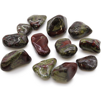 Medium African Tumble Stones - Dragon Stones
