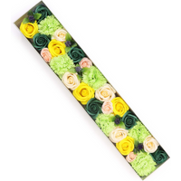 Extra Long Box - Spring Celibrations - Yellow & Greens