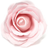 Craft Soap Flowers - Lrg Rose - Pink