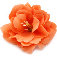 Craft Soap Flower - Peony