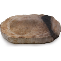 Petrified Wood Black Soap Dish