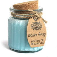 Winter Berry Soy Pot of Fragrance Candles