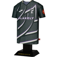 Norwich City 25/26 Alloy Shirt – Away Kit