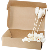 Natural Diffuser Flowers - Tulip on Reed
