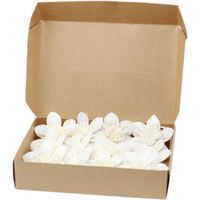 Natural Diffuser Flowers - Lrg Lily on String