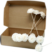 Natural Diffuser Flowers - Carnation on Reed