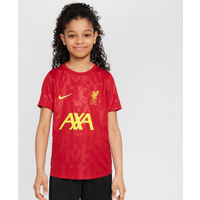 Nike Liverpool FC Academy Pro SS Top Jr FQ0013-688
