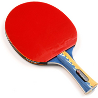 Meteor Windstorm 15018 Table Tennis Racket