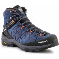 Shoes Salewa Ms Alp Trainer 2 Mid Gtx M 61382-8675