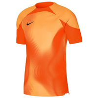 Nike Dri-FIT ADV Gardien 4 M DH7760-819 goalkeeper jersey