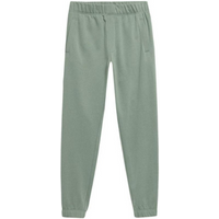Outhorn M HOL22 SPMD604 41S pants