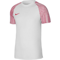 Nike Dri-Fit Academy SS M DH8031-100 T-shirt