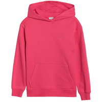 4F F1854 Jr sweatshirt 4FJWSS25TSWSF1854 55S