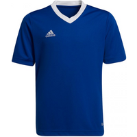 T-shirt adidas Entrada 22 Jsy Jr HG3948