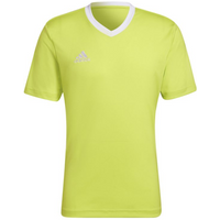Tee adidas Entrada 22 M HC5077