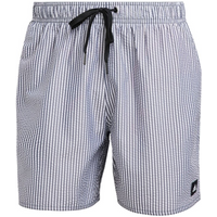 Adidas Stripey Classics M IL4020 swim shorts