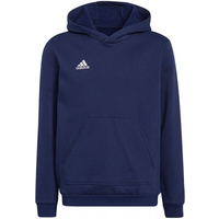 Sweatshirt adidas Entrada 22 Hoody Jr H57517