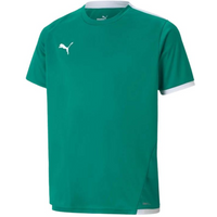 Puma teamLIGA Jersey Jr. 704925 05