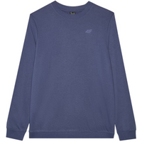 Sweatshirt 4F M1767 M 4FWMM00TSWSM1767 32S