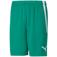 Puma teamLiga M 704924 05 shorts