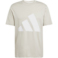 adidas Essentials Big Logo T-shirt M JE8933
