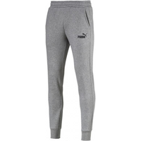 Pants Puma ESS Logo FL CL M 851753 03 gray