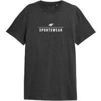T-shirt 4F M H4L22-TSM354 dark gray melange
