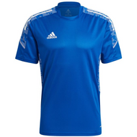 Adidas Condivo 21 Training M GH7165