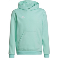 Adidas Entrada 22 Hoody JR HC5066 sweatshirt