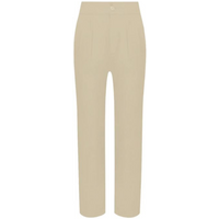 Tommy Jeans Tjw Shrs Pleated Tapered Pant W DW0DW09736