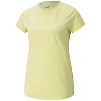 Puma RTG Heather Logo Tee W 586455 40