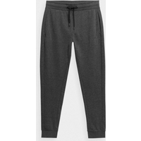 Trousers 4F M 4FSS23TTROM223 23M