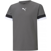 T-shirt Puma teamRise Jersey Jr 704938 13