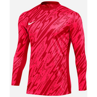 Nike Gardien V Goalkeeper DF VM sweatshirt FD7474-644