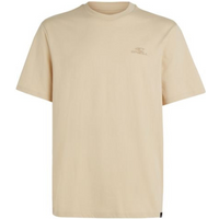 O'Neill Small Logo T-Shirt M 92800613999