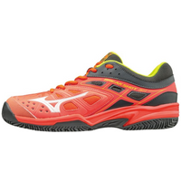 Mizuno Break Shot EX CC M 61GC172602 shoes