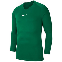 Nike Dry Park JR AV2611-302 thermoactive shirt