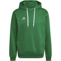 Adidas Entrada 22 Sweat Hoodie M HI2141