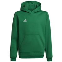 Sweatshirt adidas Entrada 22 Hoody Y Jr HI2143