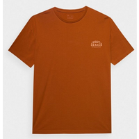 T-shirt 4F M 4FWSS24TTSHM1318 81S