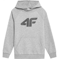 Sweatshirt 4F Jr 4FJSS23TSWSM220 cool light gray