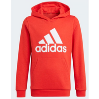 Adidas Essentials Big Logo Hoodie Jr GN4037