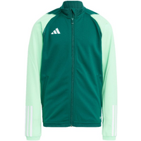 Sweatshirt adidas Tiro 23 Competition Training Jr HU1314