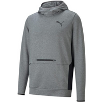 Puma RTG Hoodie M 585831 03