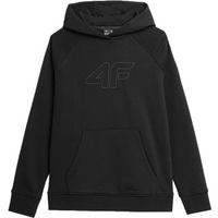 Sweatshirt 4F F0765 W 4FAW23TSWSF0765 20S