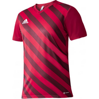 Adidas Entrada 22 Graphic Jersey Jr.H58983