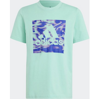 T-shirt adidas Gaming Graphic Tee Jr IB9159