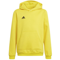 Sweatshirt adidas Entrada 22 Hoody Y Jr HI2142