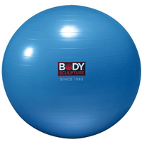 ANTI-BURST BB 001 gymnastic ball 65 CM